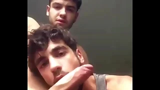 892 blowjob porn videos